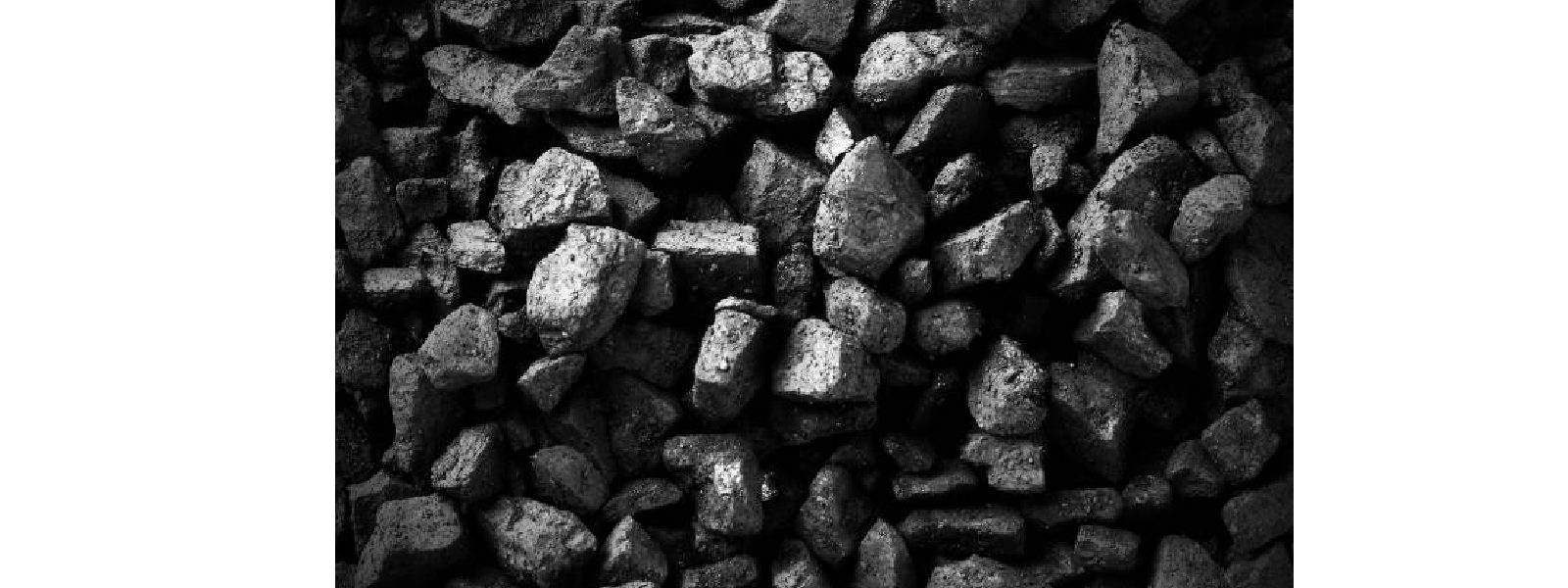 ගල් අඟුරු ආනයන ක්‍රියාවලිය ගැන මහජන තොරතුරු කැඳවයි